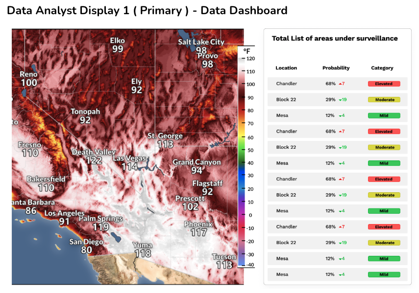 Data Analyst Display 1